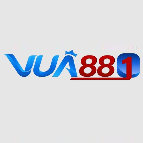 VUA88 Explained for First-Time Users